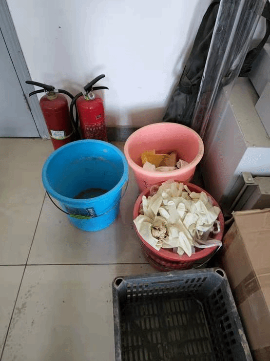 //web.buyball.org:8080/_vsl/77AF8DBDFF5F13D78C5D1B52D85B0B83/67E6E005/A1EB